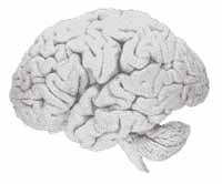 File written by Adobe Photoshop 5.2