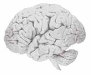 File written by Adobe Photoshop 5.2